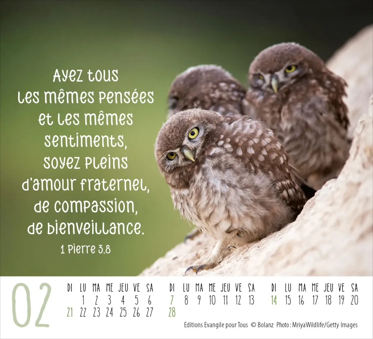 Calendrier Rencontres - mini de table