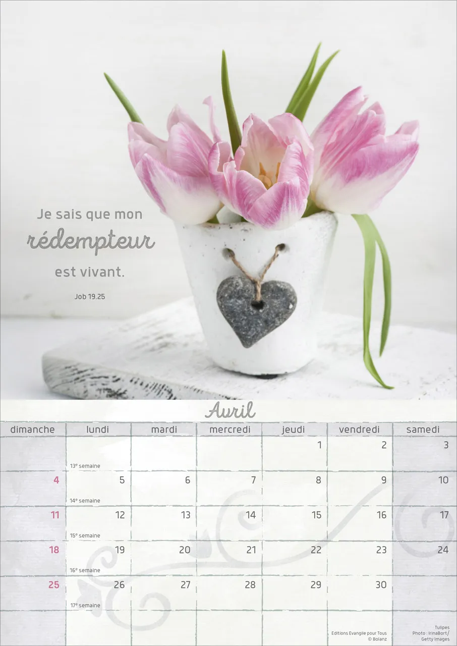 Calendrier Moments de joie - mural