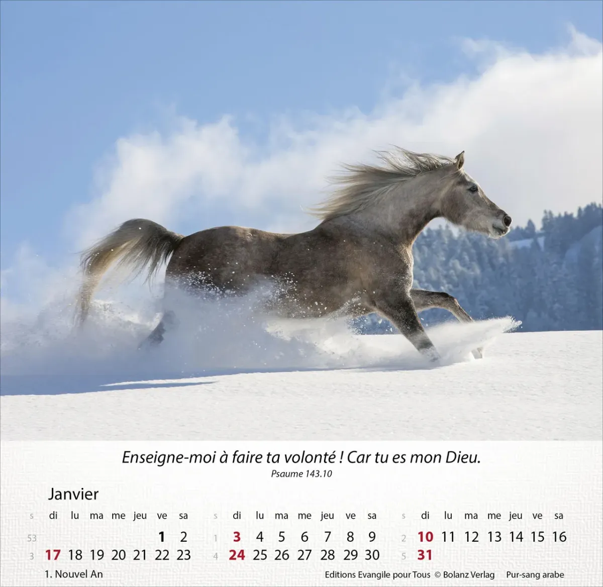 Calendrier Chevaux - Merveilles de la création