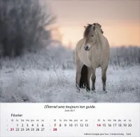 Calendrier Chevaux - Merveilles de la création