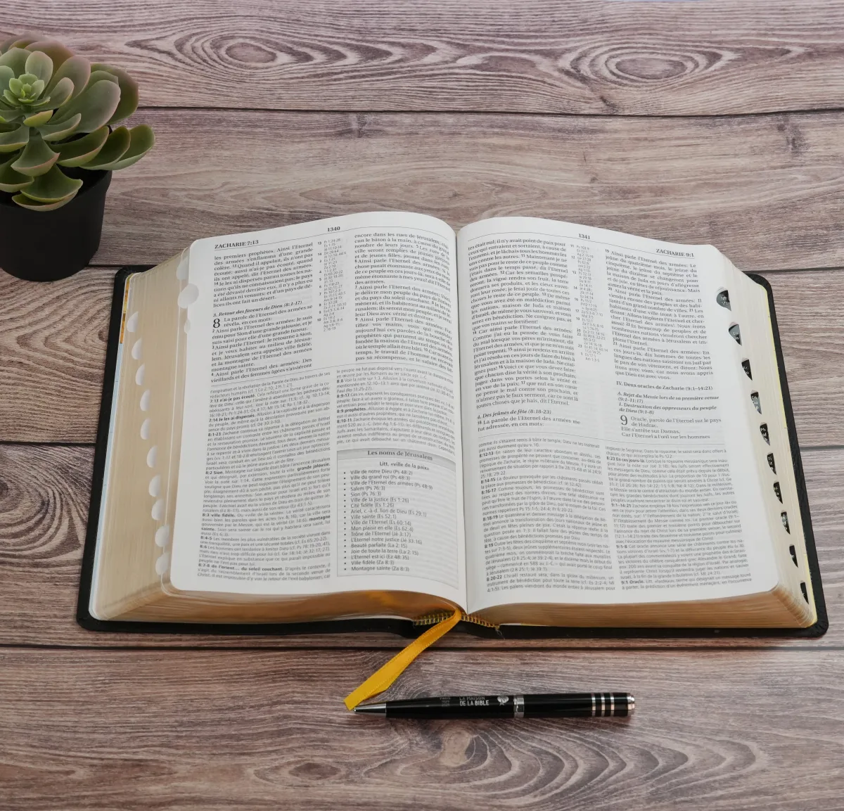 BIBLE NEG MACARTHUR SOUPLE CUIR TR OR ONGLETS NOIR AVEC BOITIER
