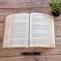 BIBLE SEGOND 21 ARCHEOLOGIQUE - COUVERTURE SOUPLE VIVELLA BRUN