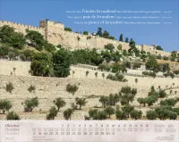 Calendrier Israël Shalom - trilingue, mural