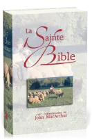 BIBLE NEG MACARTHUR RIGIDE ILLUSTREE
