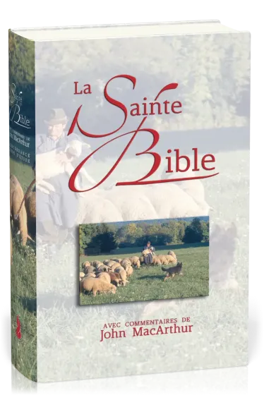 BIBLE NEG MACARTHUR RIGIDE ILLUSTREE