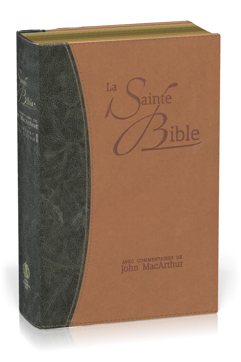 BIBLE NEG MACARTHUR SOUPLE SIMILICUIR, TR. OR DUO BLEU ET BEIGE