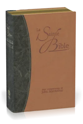 BIBLE NEG MACARTHUR SOUPLE SIMILICUIR, TR. OR DUO BLEU ET BEIGE