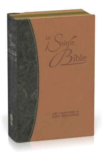 BIBLE NEG MACARTHUR SOUPLE SIMILICUIR, TR. OR DUO BLEU ET BEIGE