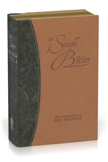 BIBLE NEG MACARTHUR SOUPLE SIMILICUIR, TR. OR DUO BLEU ET BEIGE