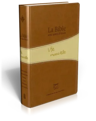 Bible Segond 21 Vie Nouvelle - souple - duo brune avec boîtier