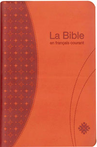 BIBLE FR. COURANT STANDARD DEUTEROCANONIQUES COUV.SIMILI HAVANE ONGLETS