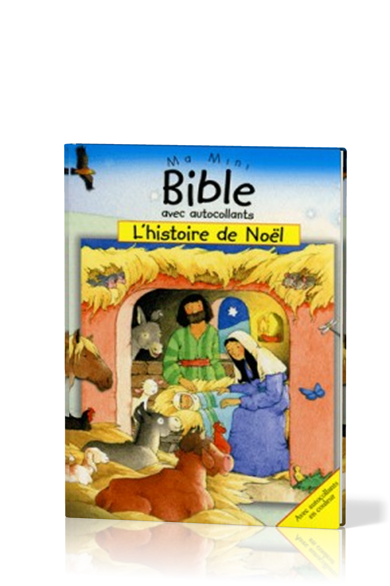 HISTOIRE DE NOËL (L')