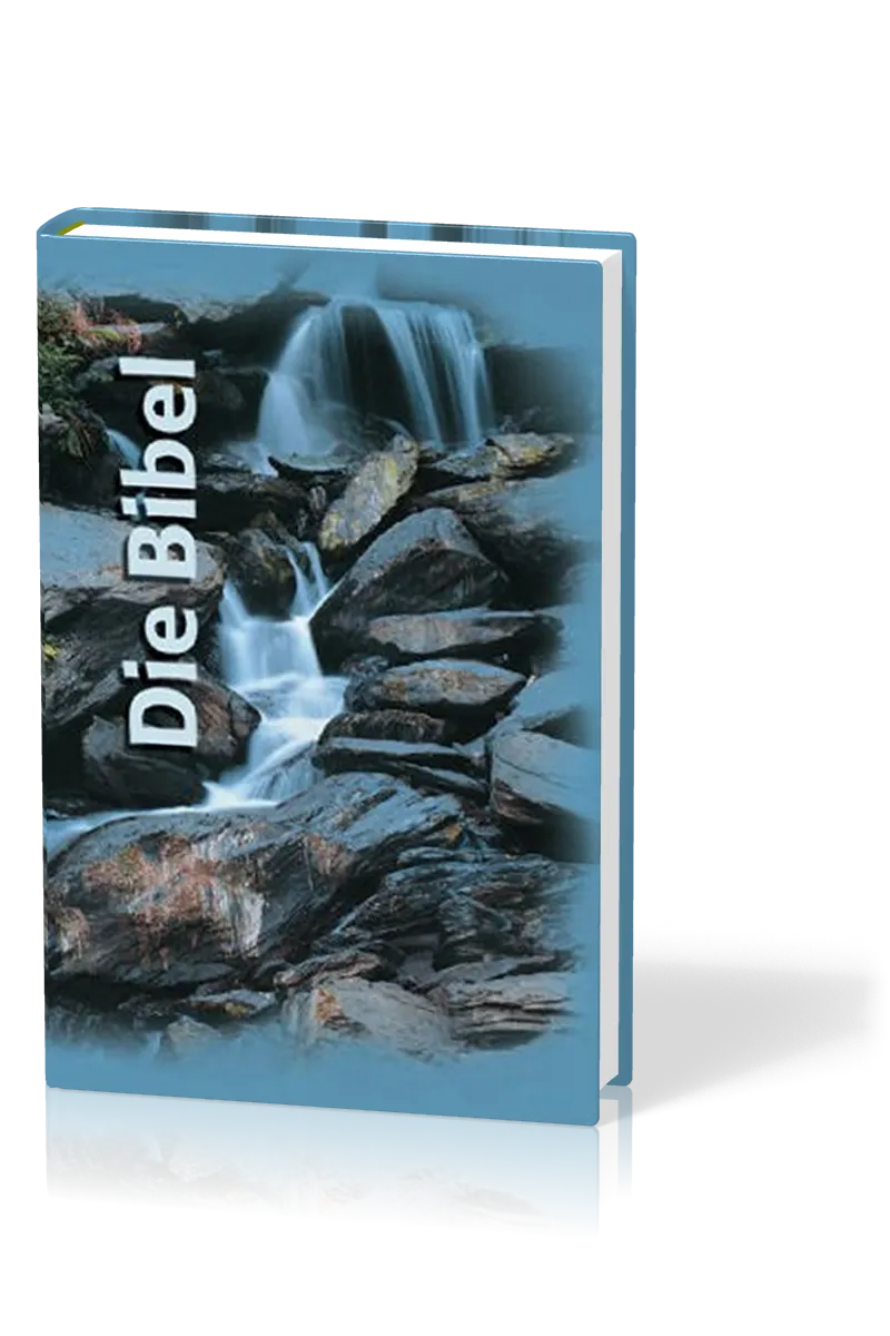 BIBLE SCHLACHTER 2000, MINIATURE, RELIEE BLEU