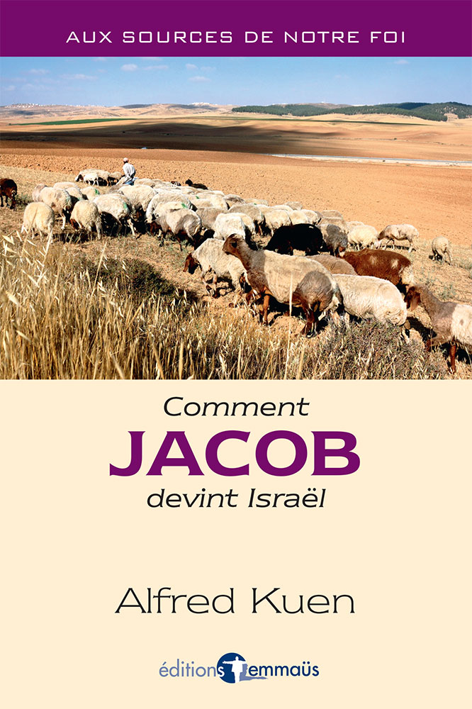 COMMENT JACOB DEVINT ISRAEL