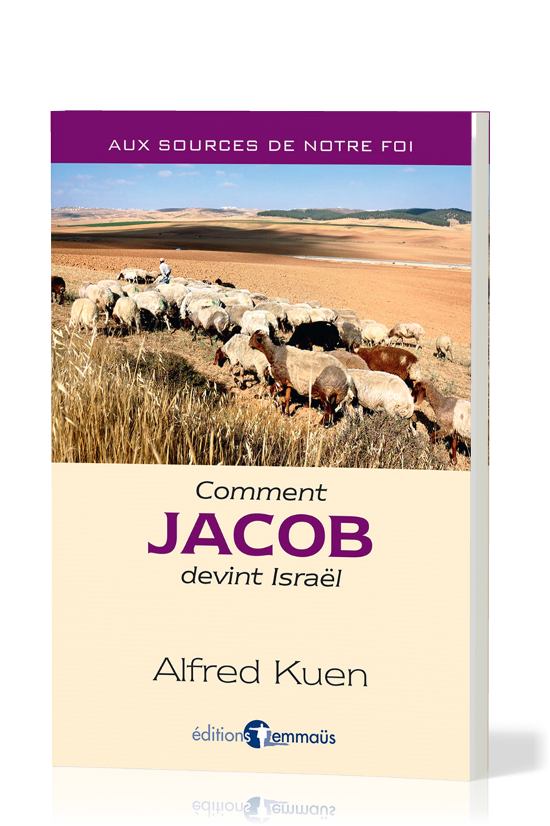 COMMENT JACOB DEVINT ISRAEL