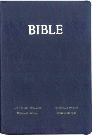 BIBLE ANGLAIS-FRANCAIS GOOD NEWS-FRANCAIS COURANT VINYLE MARINE SOUPLE