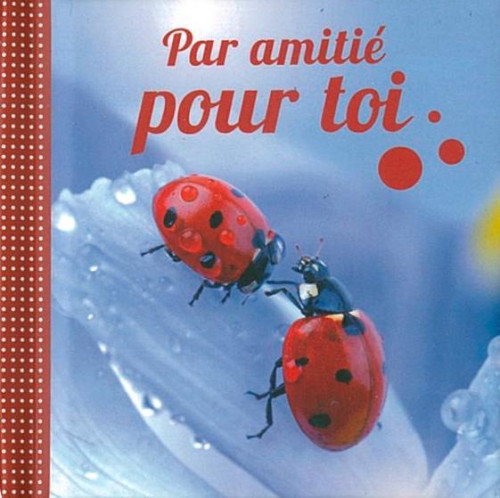 MINI-LIVRE - PAR AMITIE POUR TOI
