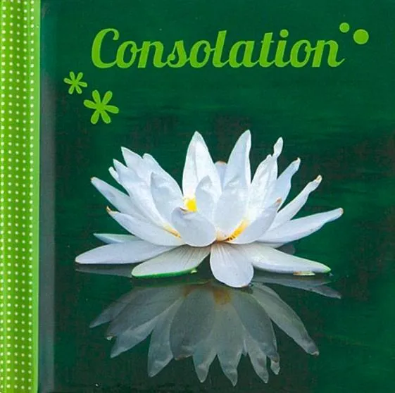 MINI-LIVRE - CONSOLATION