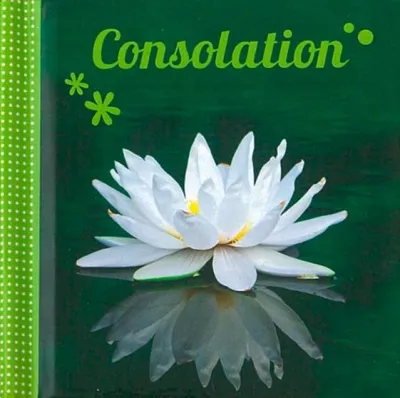 MINI-LIVRE - CONSOLATION