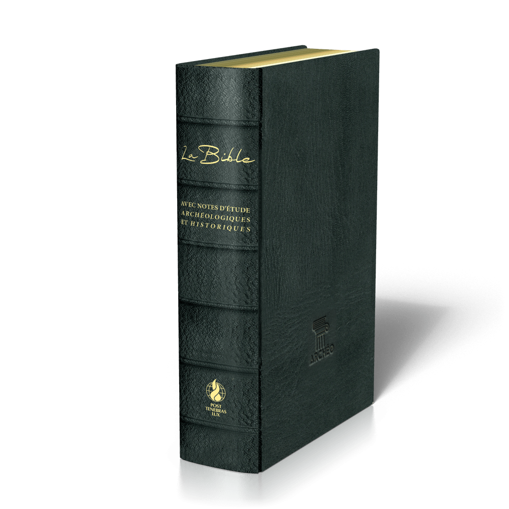 BIBLE SEGOND 21 ARCHEOLOGIQUE - COUVERTURE CUIR VERITABLE NOIR