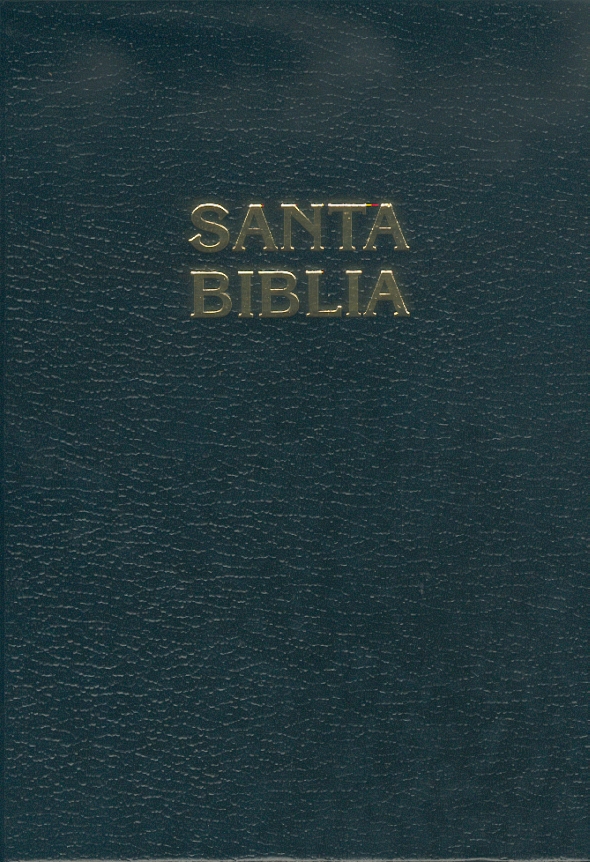 ESPAGNOL BIBLE RVR60043E, RIGIDE, NOIR,