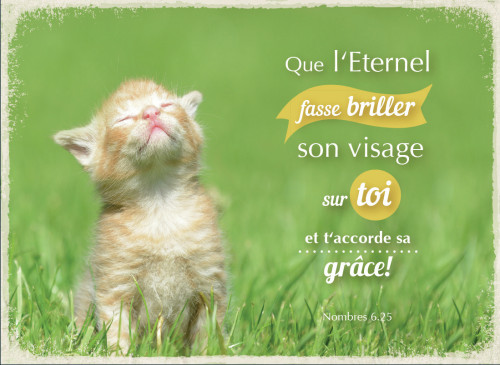 MAGNET QUE L'ETERNEL FASSE BRILLER SON VISAGE SUR TOI