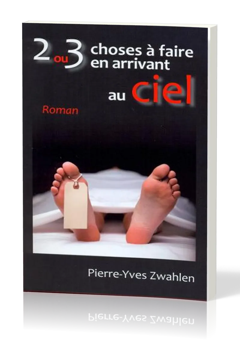 2 OU 3 CHOSES A FAIRE EN ARRIVANT AU CIEL