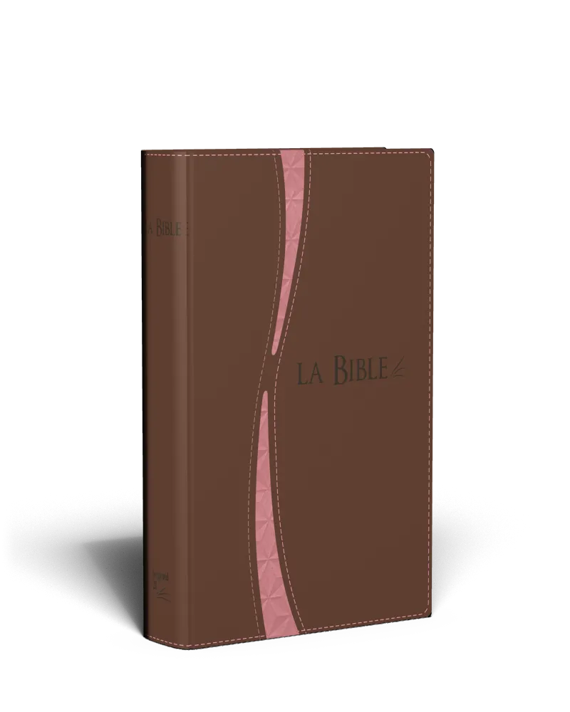 Bible Segond 21 duo brun saumon ferm. éclair tranche or