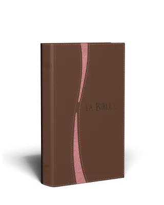 Bible Segond 21 duo brun saumon ferm. éclair tranche or