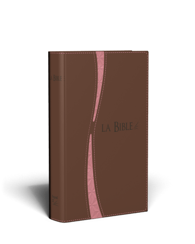 Bible Segond 21 duo brun saumon ferm. éclair tranche or
