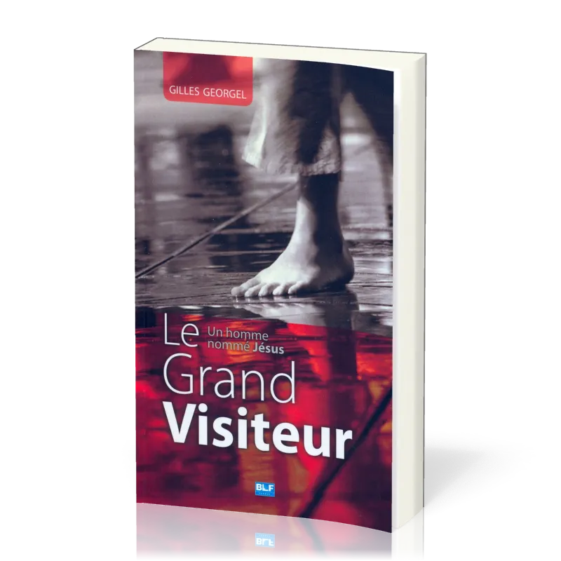 GRAND VISITEUR (LE)