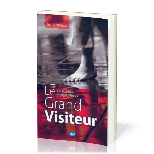 GRAND VISITEUR (LE)
