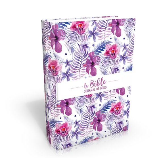 Bible Segond 21 Journal de bord couverture toilée illustrée