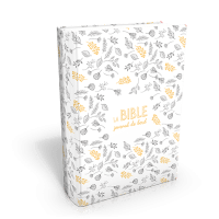 Bible Segond 21 Journal de bord couverture vivella motifs
