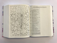 Bible Segond 21 Journal de bord couverture rigide imprimée