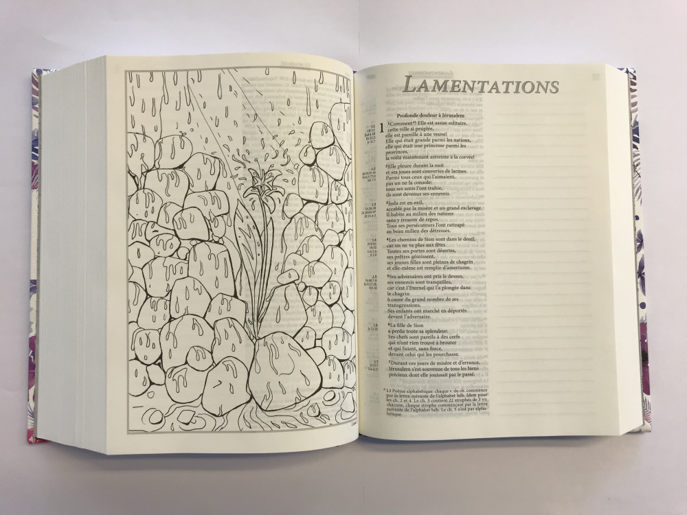 Bible Segond 21 Journal de bord couverture vivella motifs