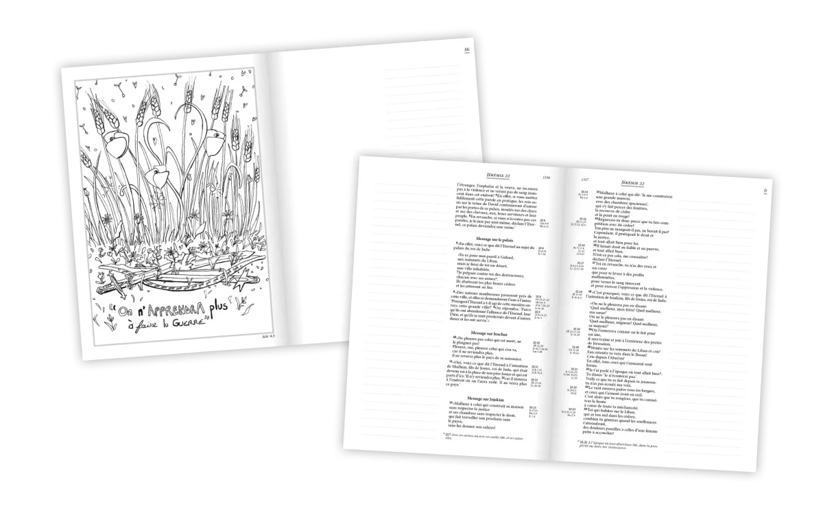 Bible Segond 21 Journal de bord couverture rigide imprimée