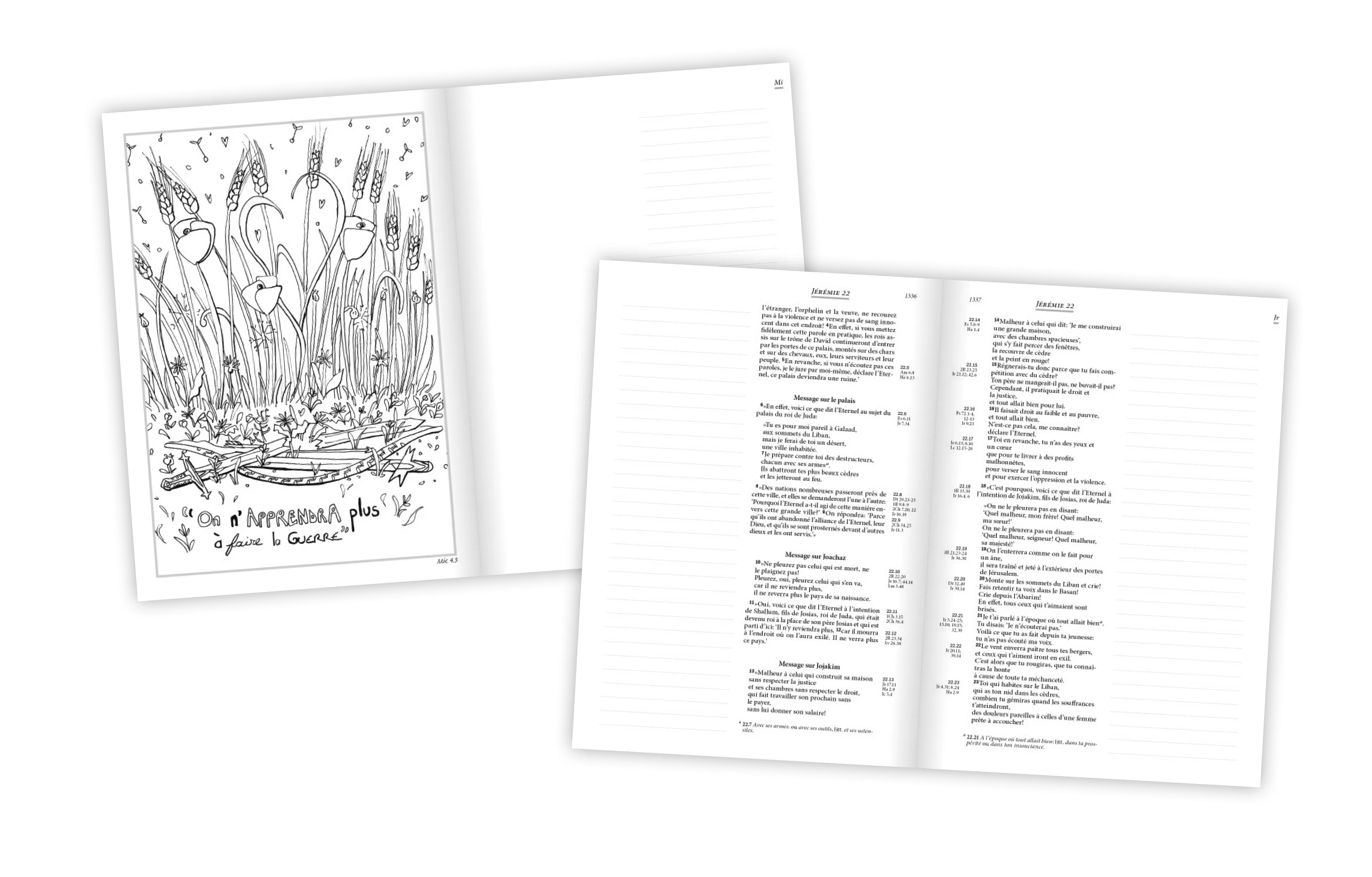 Bible Segond 21 Journal de bord couverture toilée illustrée