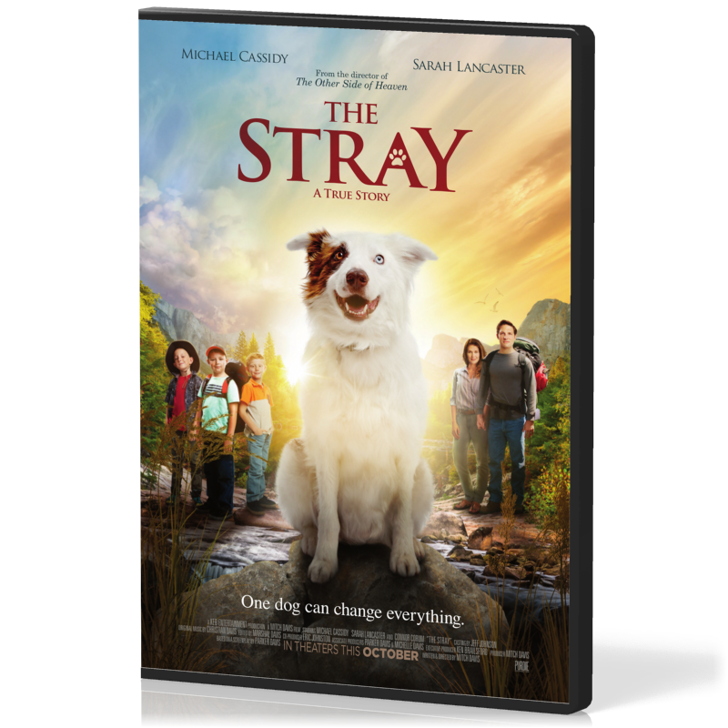 The Stray, a true dog tale - DVD