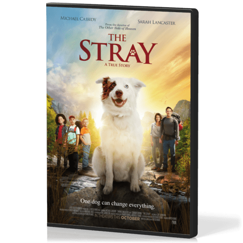 The Stray, a true dog tale - DVD