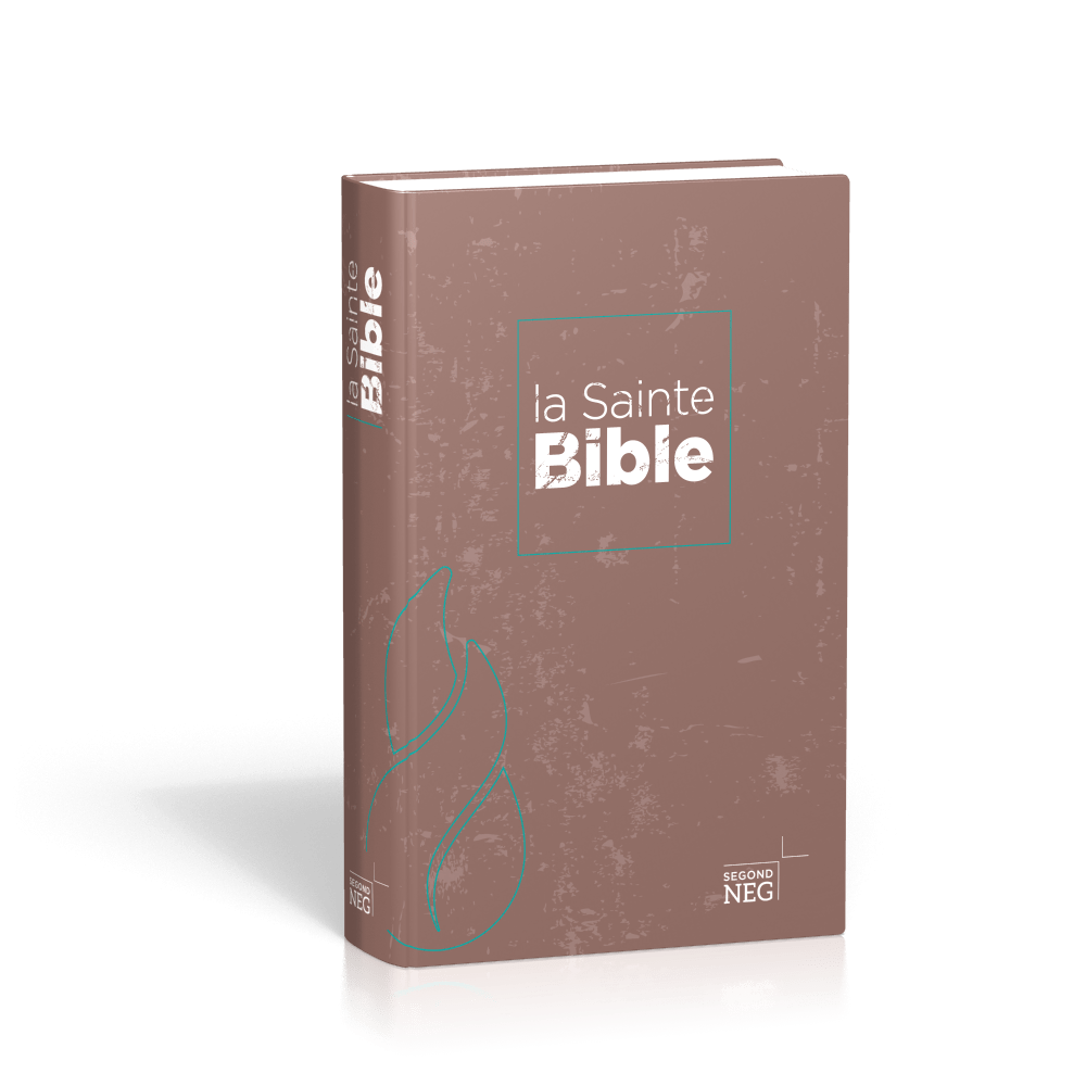 BIBLE NEG COMPACT RIGIDE FLECHES