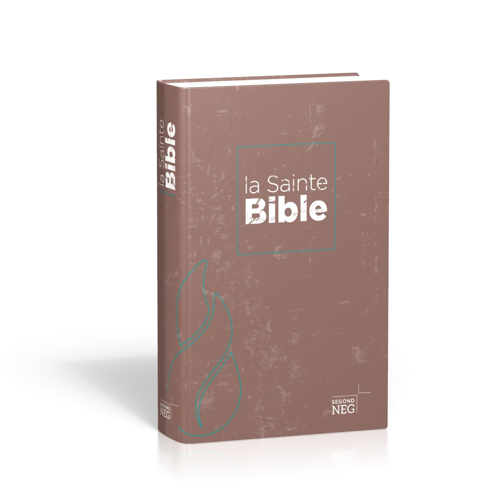 BIBLE NEG COMPACT RIGIDE FLECHES