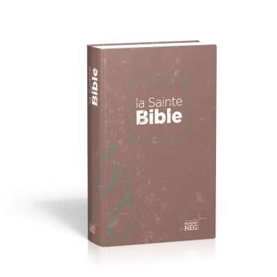 BIBLE NEG COMPACT RIGIDE FLECHES