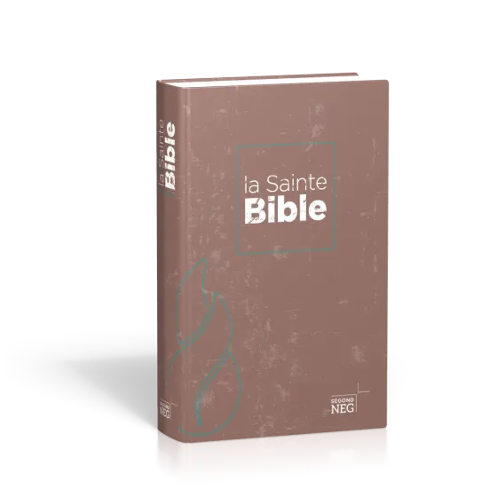 BIBLE NEG COMPACT RIGIDE FLECHES