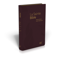 Bible NEG étude avec parallèles souple bordeaux tranche or et onglets