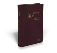 Bible NEG étude avec parallèles souple bordeaux tranche or et onglets