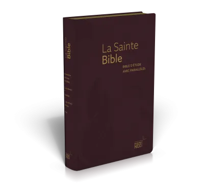 Bible NEG étude avec parallèles souple bordeaux tranche or et onglets
