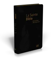 Bible d'étude NEG à parallèles, noire - Souple, fibrocuir, tranche or, onglets