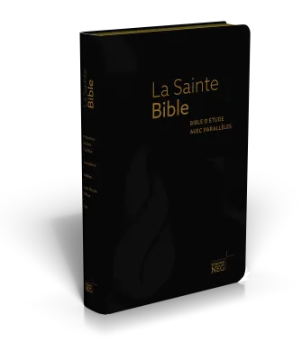 Bible d'étude NEG à parallèles, noire - Souple, fibrocuir, tranche or, onglets