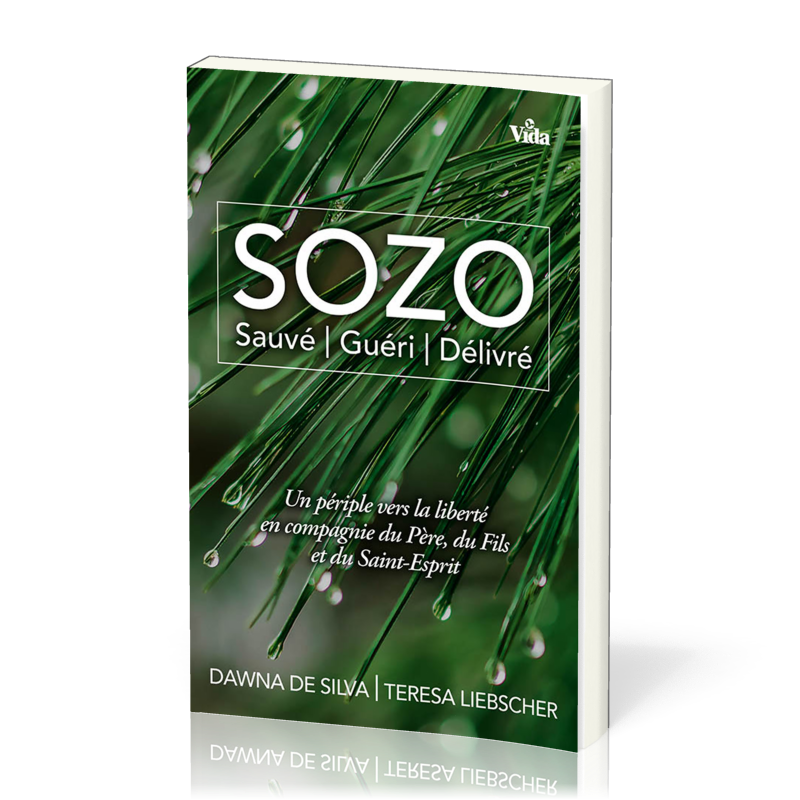 SOZO -Sauvé, guéri, délivré - UN périple vers la liberté en compagnie du Père, du Fils et du Saint-E